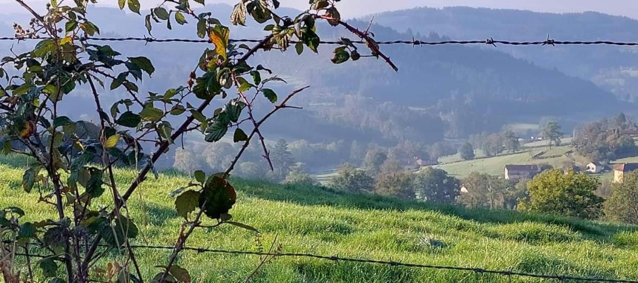 Anglure-sous-Dun La Mazille , Cossy Vakantiestudio Met Zwembad In Zuid-Bourgogne מראה חיצוני תמונה